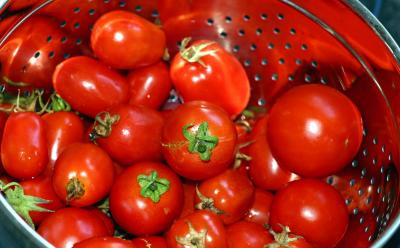 tomatoes.jpg