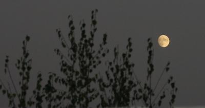 moon_4.jpg