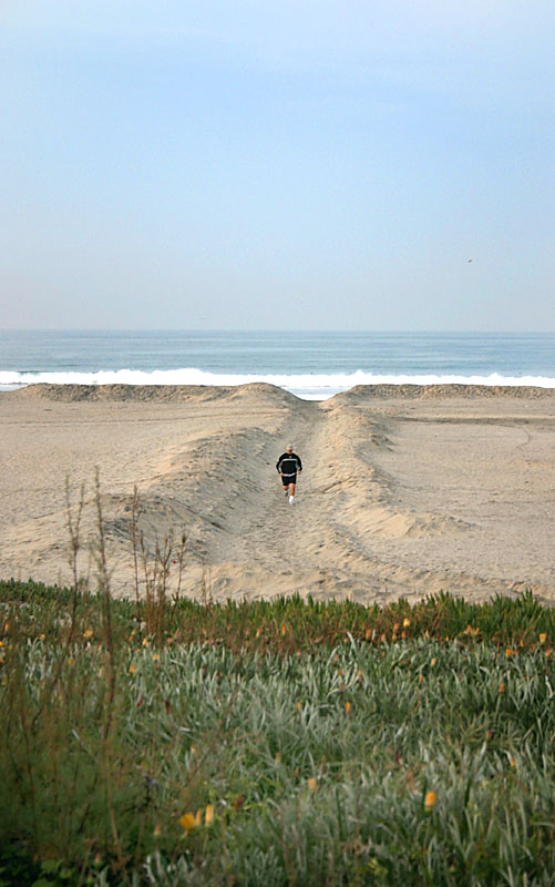 Early Morning Jogger