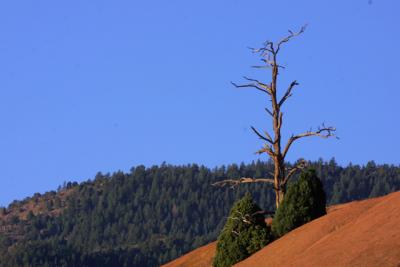 Img_5876.jpg