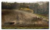 DSC_7618s950.jpg