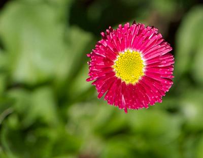 DSC_1579.jpg