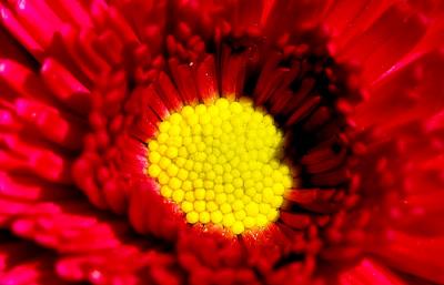 DSC_1608.jpg