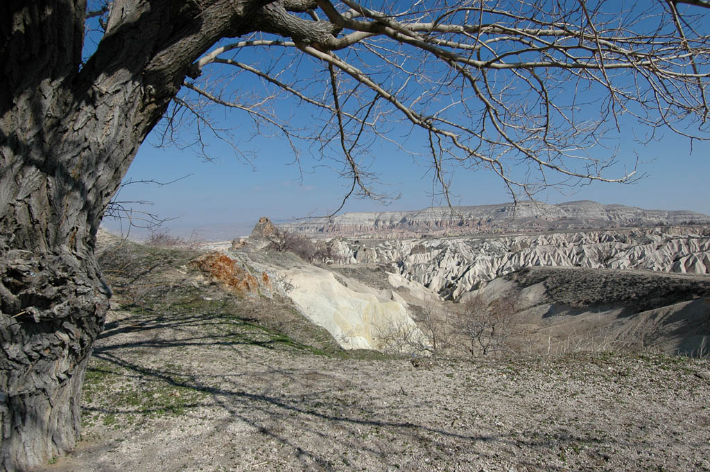 Valleys near Goreme 7037