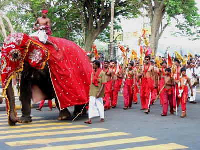 Perahera