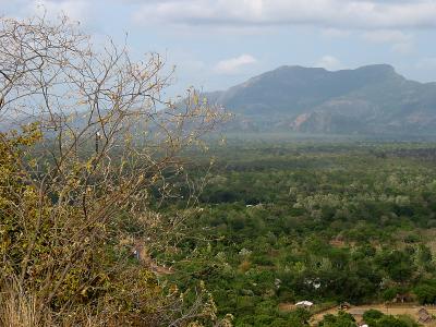 view from dambulla