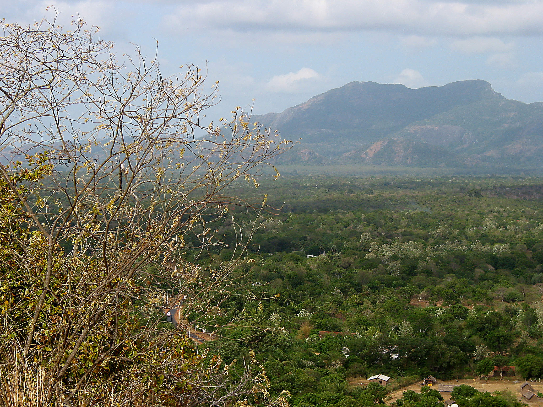 view from dambulla