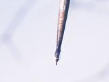 Thorn Drop
