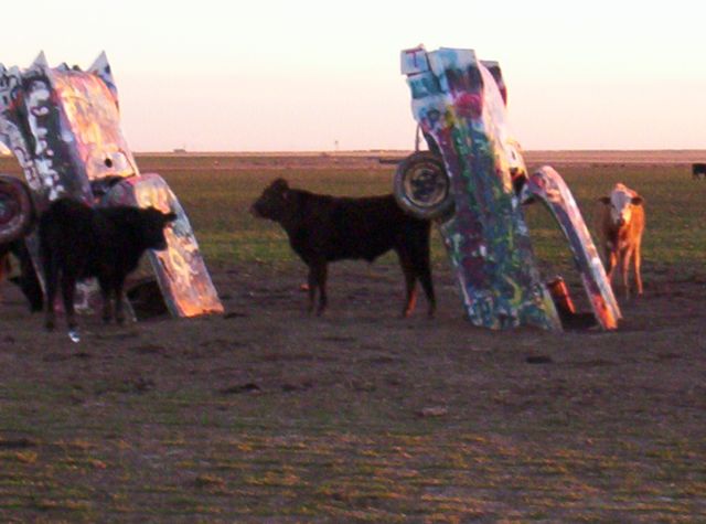 Cattle-ac Ranch