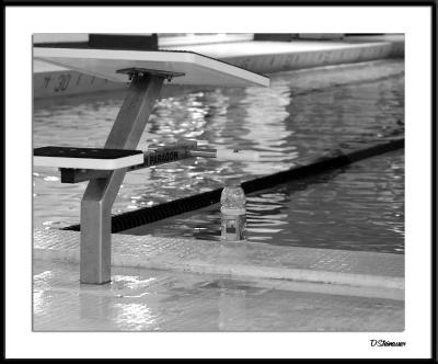 u16/dsteinauer/medium/39037132.ds20050124_0101a1wFPlatform.jpg