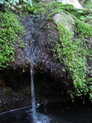 DSC03101.jpg