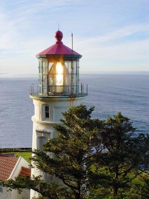 Lighthouse at Heceta Head 6
