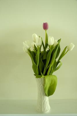 4/15/05 - Tulip Still Life 2