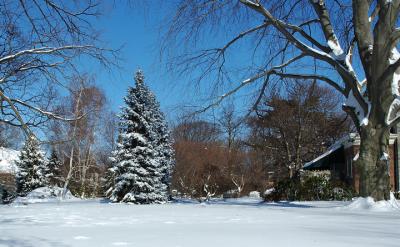WinterScene0040.jpg
