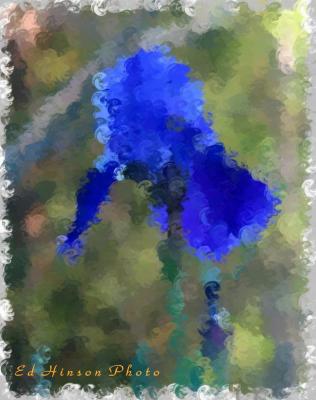 Fingerpaint