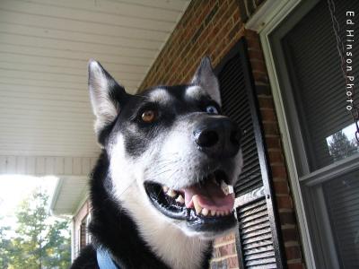 Buddy smile