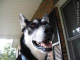 Buddy smile
