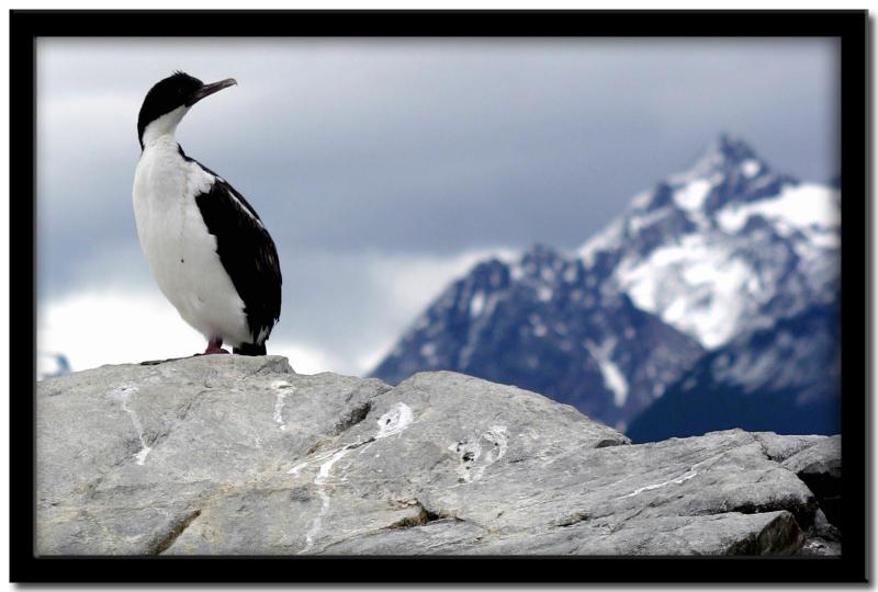 Canal de Beagle