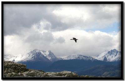 Canal de Beagle