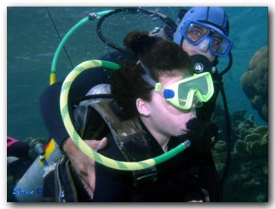Red sea - Eilat (April_2005)