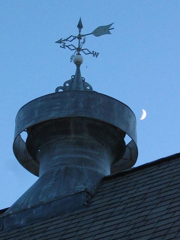 Blue Moon In June, or rather August, coming up along the vent!