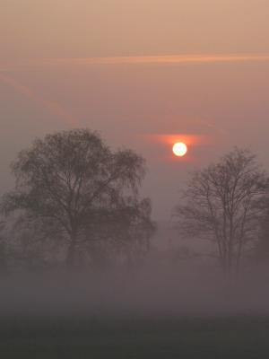 Sunrise in April fog