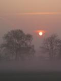 Sunrise in April fog