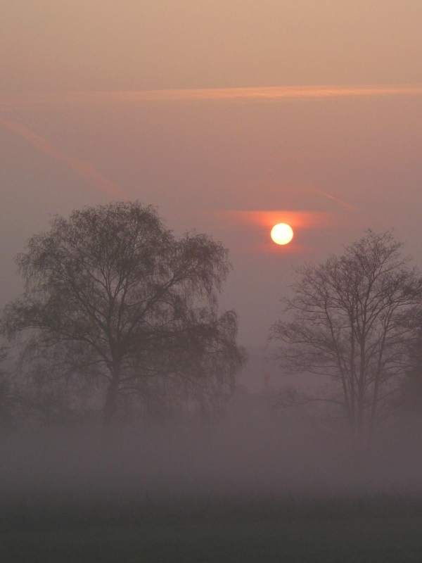 Sunrise in April fog