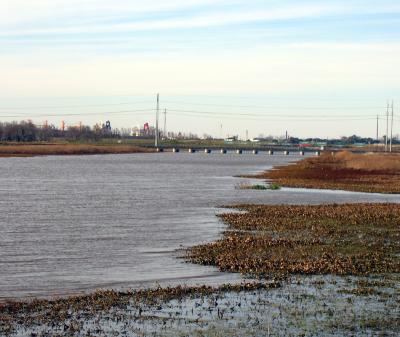 Davis Pond Diversion