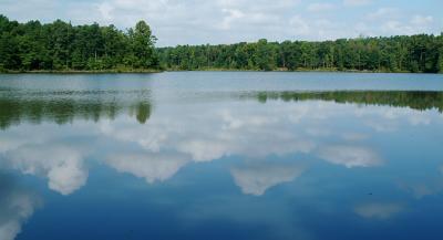 Tribble Mill Park