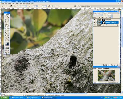 ScreenShot1D_MarkII-Sharpness-1.jpg