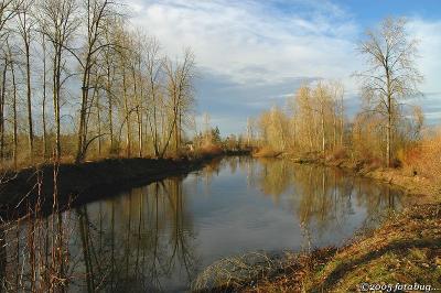 Winter at the Ponds