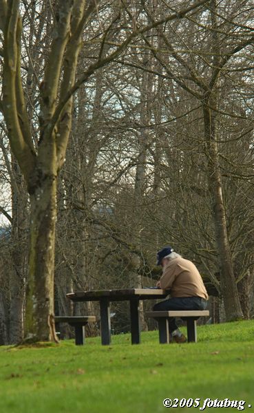 January in the Park