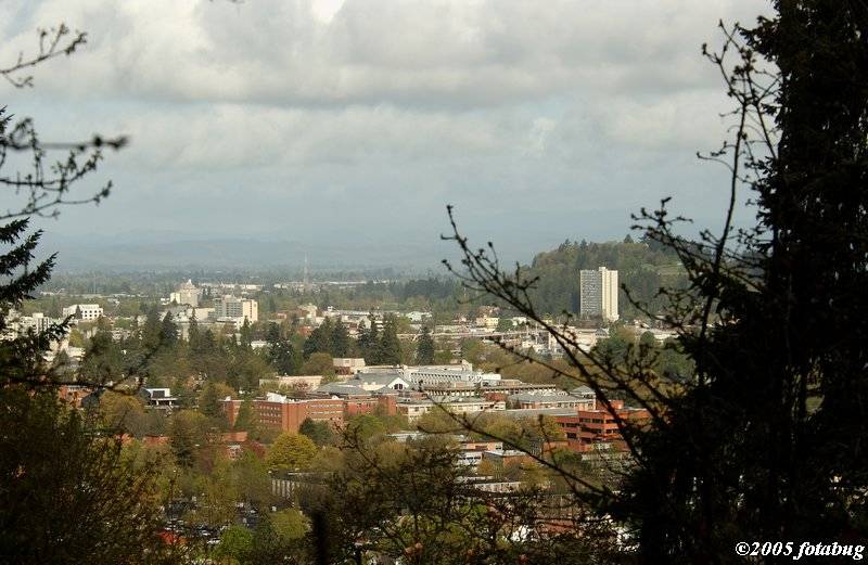 View of Eugene from Hendricks Park