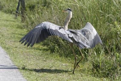 Landing.