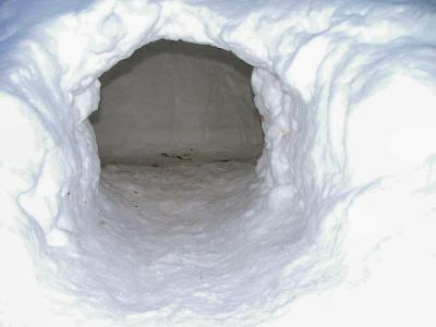 Inside the ice dome