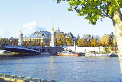 The Grand Palais