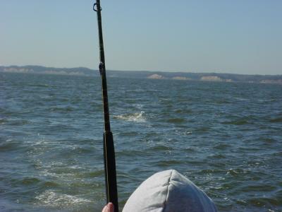 Mike Cook party - Cool Spring day out of Breezy Pt with another to be released