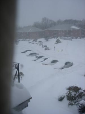 DSCN0276.JPG