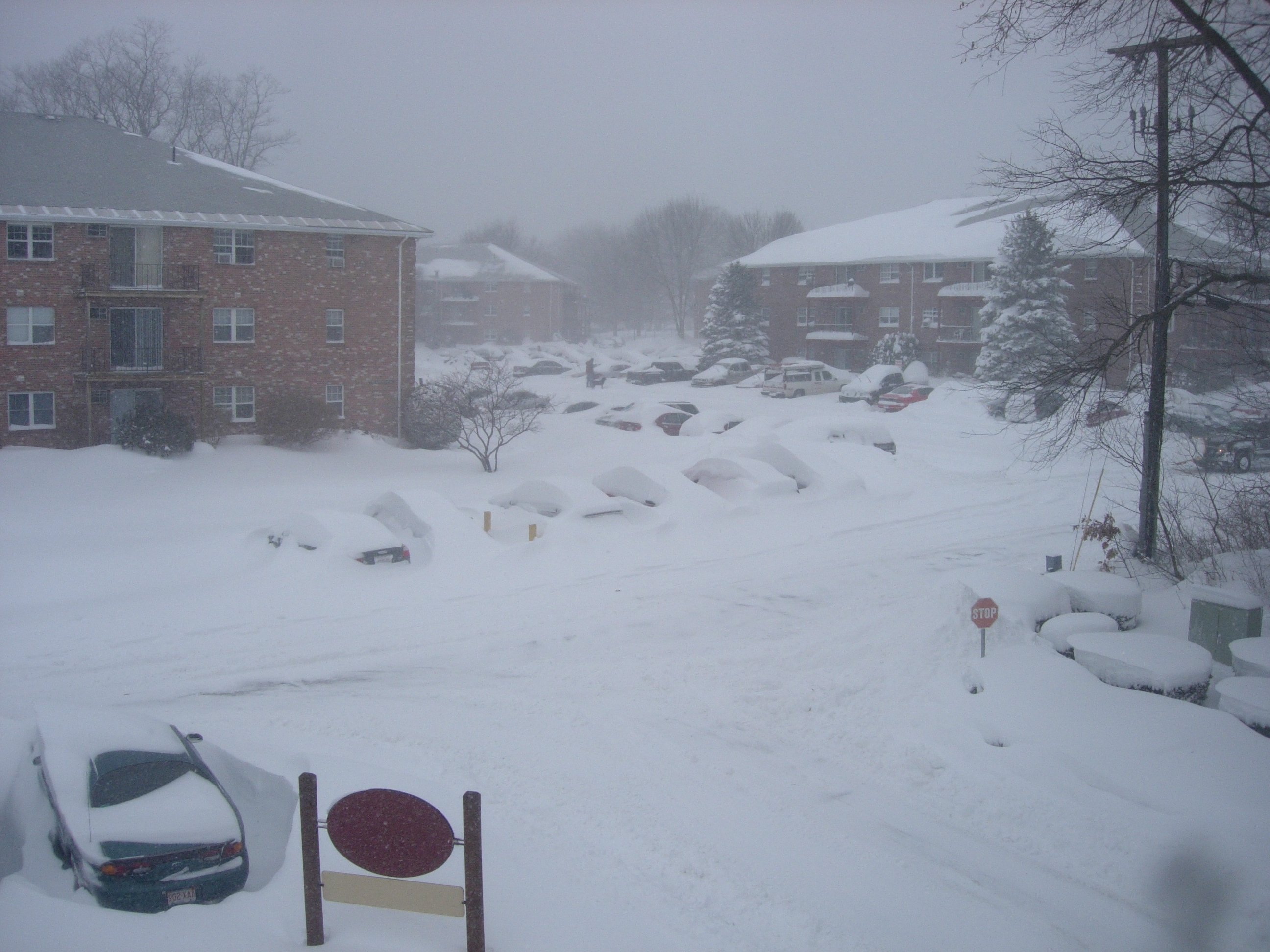 DSCN0274.JPG