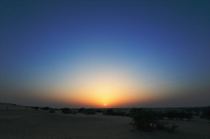 Desert Sunset