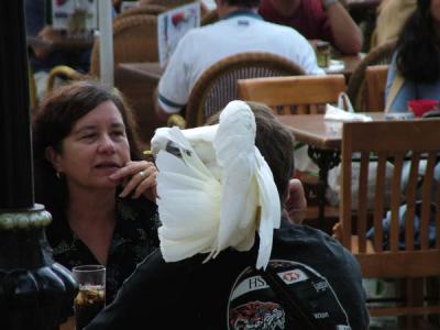 DSCF0795.jpg