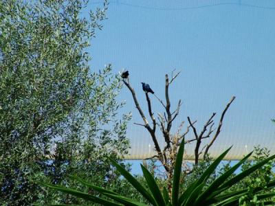 DSCF0818.jpg