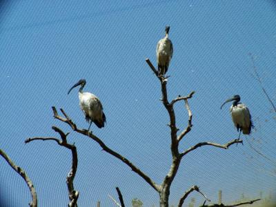 DSCF0822.jpg