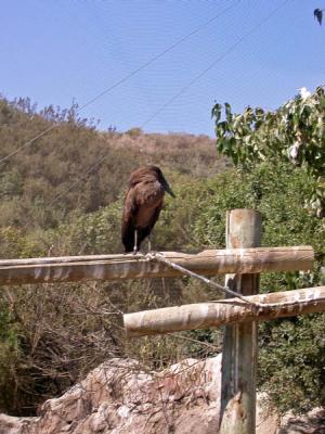 DSCN0810.jpg