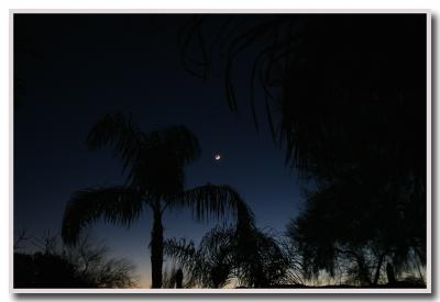 New moon from my backyard in Phoenix