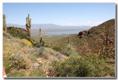 Roosevelt Lake