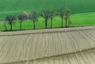 Rural scenes of Pesaro's hills part two