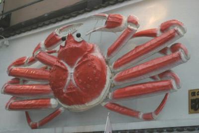 Upclose crab