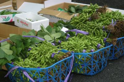 I really did not go visit the other parts of where the vegetables were, but I did catch this shot.  I liked the green-ness of these.